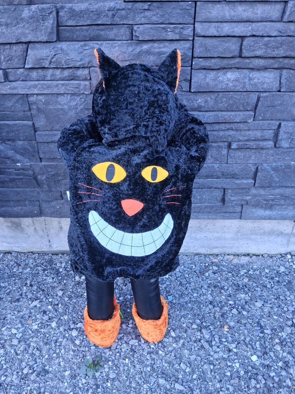 NEW! Dan Dee Collector's Choice Time Out Halloween Plush; Black Cat NWT!